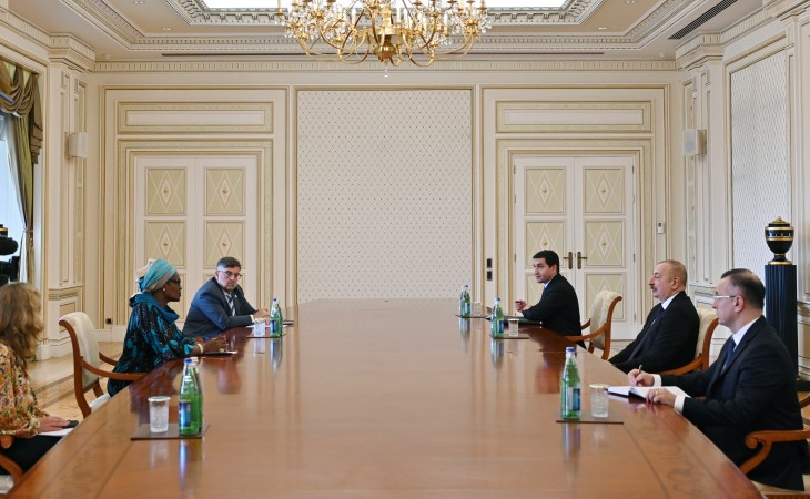 President Ilham Aliyev received Executive Director of the Joint United Nations Programme on HIV/AIDS