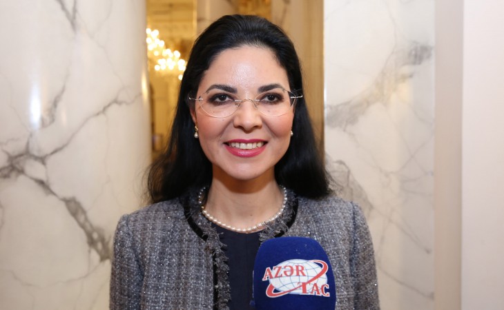Azərbaycan Prezidentinin enerji sahəsində həyata keçirdiyi islahatlar alqışalayiqdir - Ana Birçall