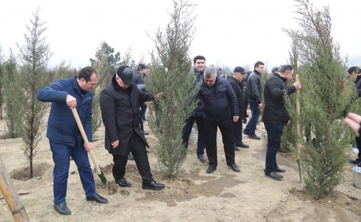 “Heydər Əlıyev İli” çərçivəsində ağacəkmə aksiyası: Kəsmək yox, əkmək və yaşıllığa bir dəstək